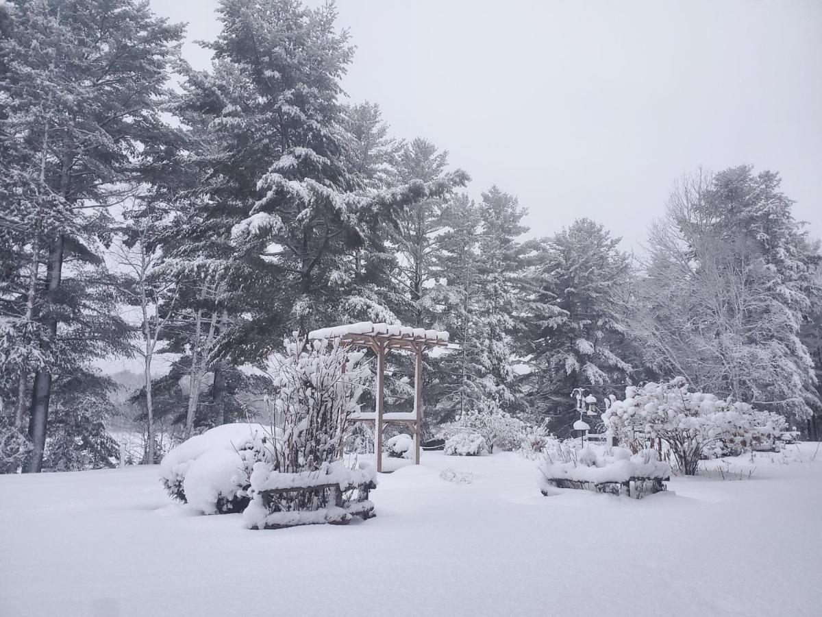 Spring Lake Resort Dwight ภายนอก รูปภาพ